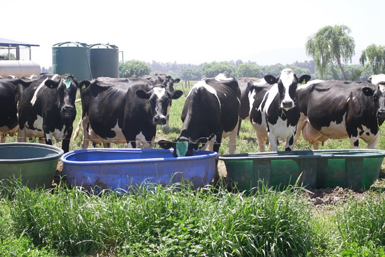 Gremios agrícolas seguirán trabajando texto de pacto regional