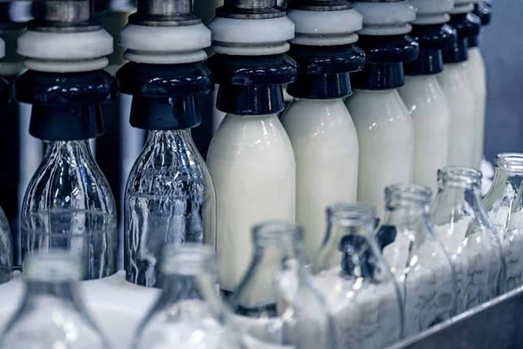 Las principales prioridades para los ejecutivos de lácteos en 2023