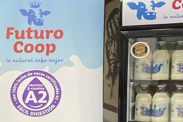 Leche A2 de FuturoCoop ya está a la venta en la Región de Los Lagos 