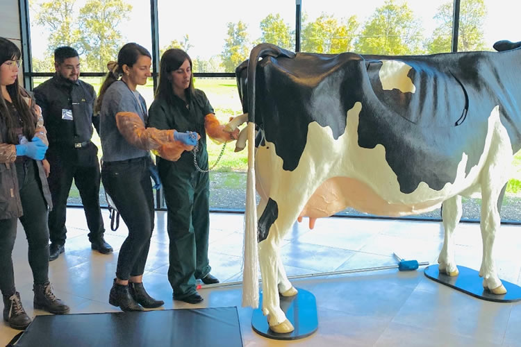 Inauguran edificio y primera vaca modular para capacitación lechera