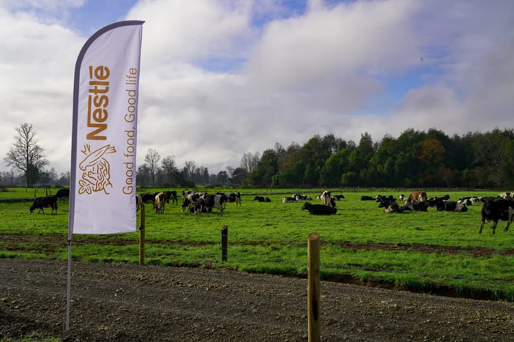 Nestlé organiza exposición de tecnologías para una agricultura regenerativa