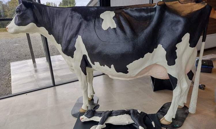 Estudiantes del sector lácteo de Osorno trabajarán con "vaca modular" que simula al animal