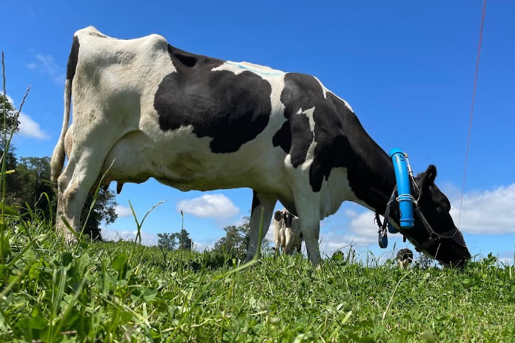 Más producción no es más emisiones