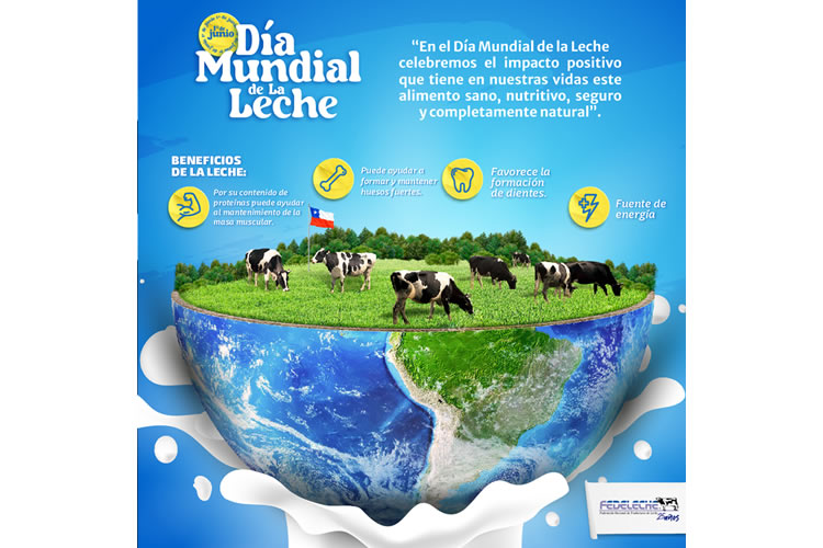 Día Mundial de la Leche: ¿Por qué se celebra a este completo alimento?