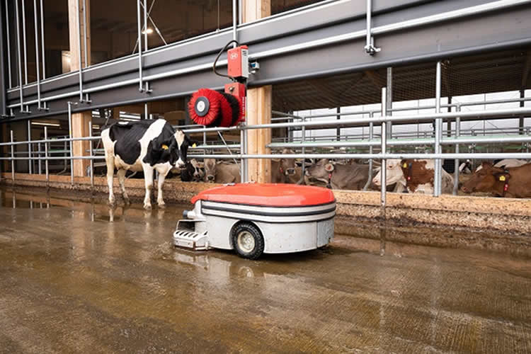 La robótica e inteligencia artificial ganan espacio en las lecherías