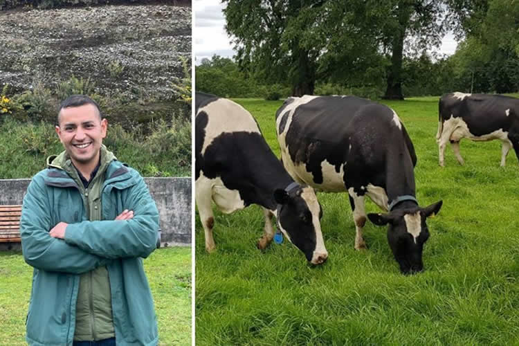 Postparto y su efecto en la productividad durante lactancia en vacas lecheras
