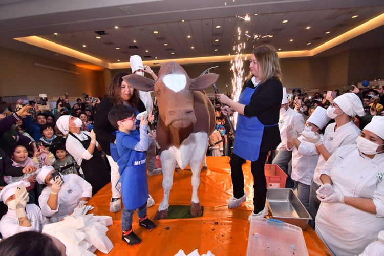 Un gran éxito tuvo el festival “La vaca de chocolate más grande del mundo” desarrollada en Osorno