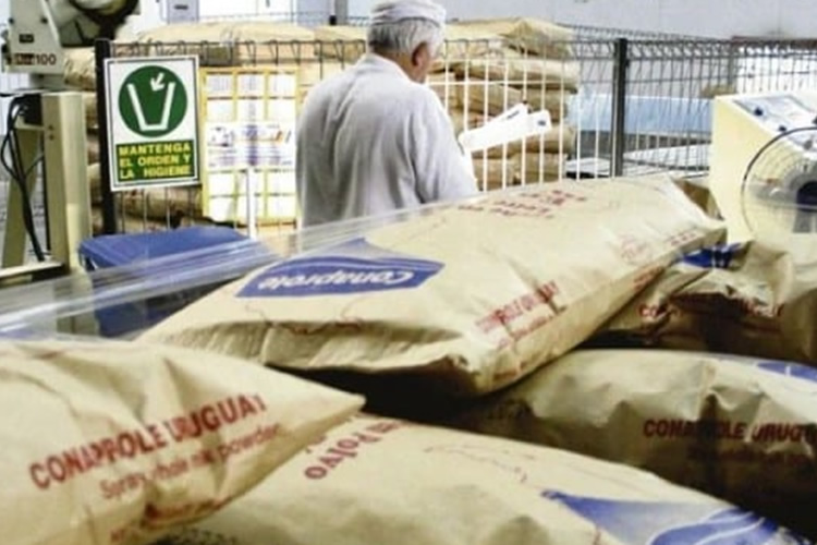 Brasil sigue dependiendo de las importaciones de leche