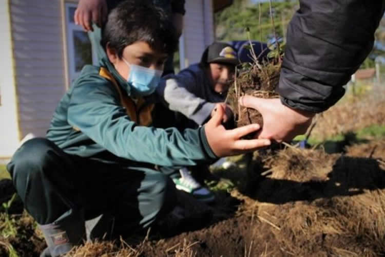 Nestlé Chile presenta en escuelas rurales programa con enfoque regenerativo 
