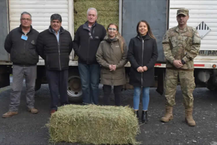 Alianza solidaria permitirá llegar con forraje a sectores afectados por inundaciones en Biobío