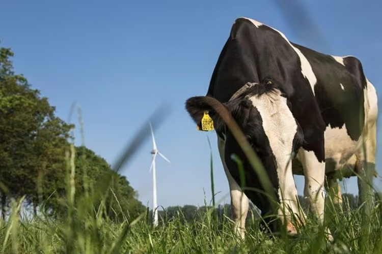 UE: Friesland Campina mantiene para julio de 2023 el precio de la leche