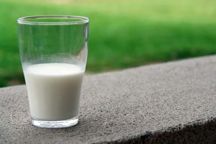 Uruguay fue el principal proveedor de leche en polvo entera de Brasil