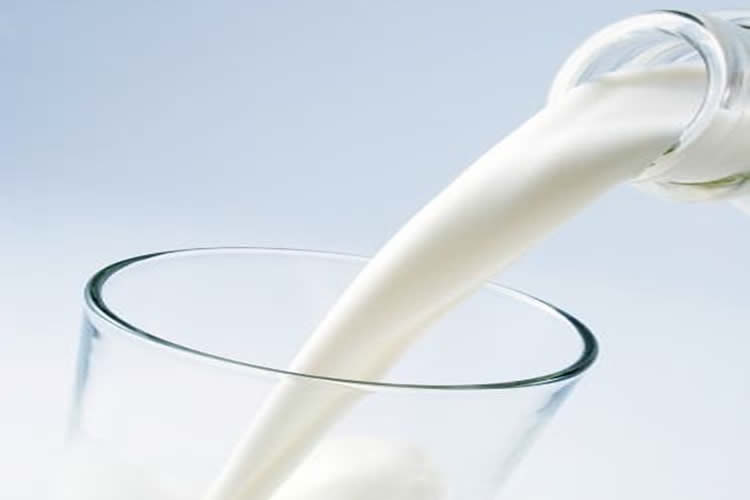 El consumo de leche en adultos: más allá de los mitos