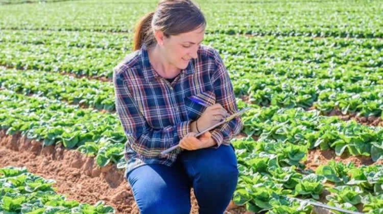 Startups Agtech presentarán casos de éxito en conferencia CfiAgrotech 2023