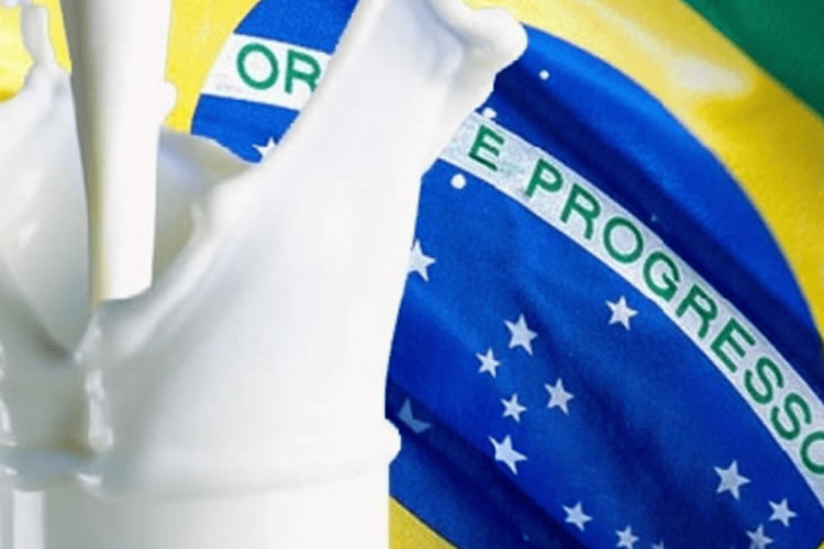 ¿Por qué está dispuesto Brasil a reducir sus importaciones?