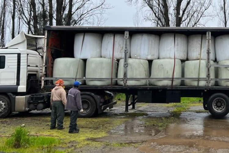 Fedeleche entrega valioso aporte a pequeños ganaderos de la precordillera linarense afectados por los mega temporales