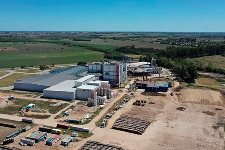 Conaprole retomó las exportaciones de leche en polvo a Brasil tras conflicto por restricciones