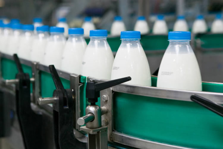 Recepción lechera de la industria muestra caída de 4,7% en último año