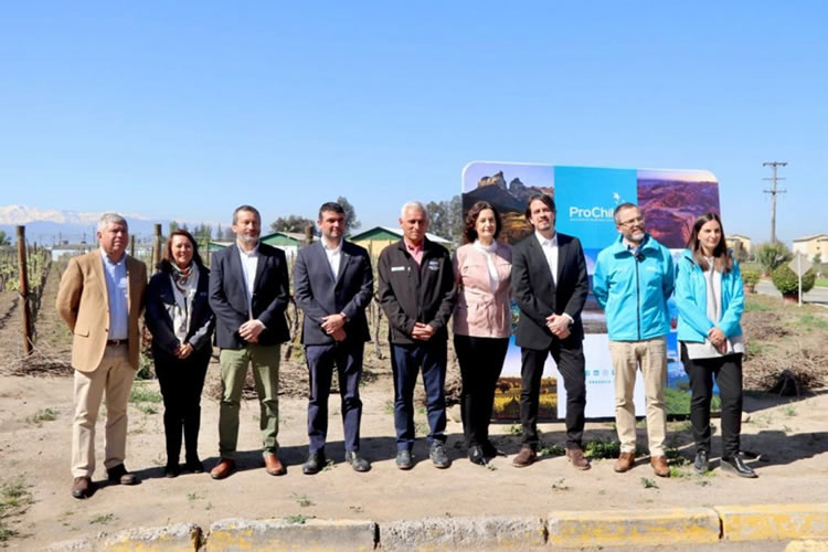 Minagri y ProChile lanzan Concurso Silvoagropecuario 2024 para aumentar exportaciones de pequeños y medianos agricultores