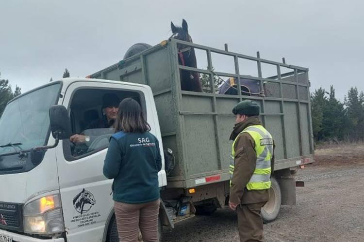 SAG actualiza el Formulario de Movimiento Animal