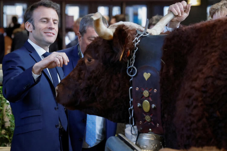 Francia introduce una deducción fiscal para evitar que los ganaderos se vean tentados a vender sus vacas