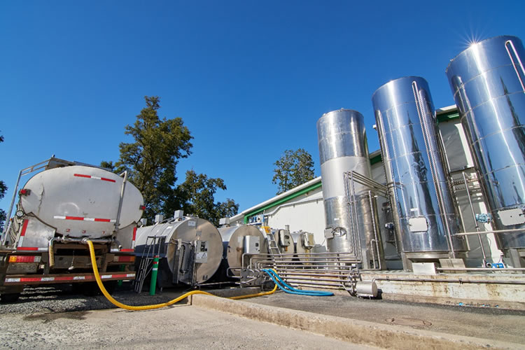 Industria láctea mantiene en general a la baja la compra de leche cruda al octavo mes del año 