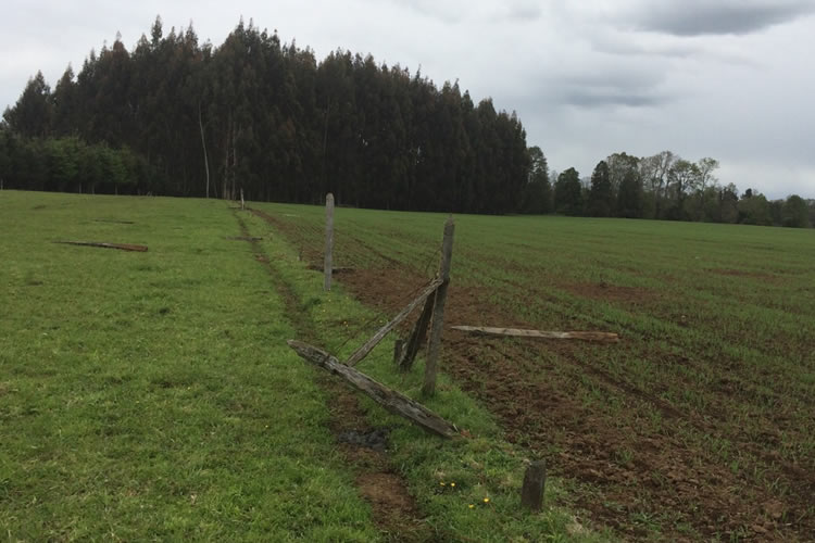 Agricultores no quedan conformes con ley de usurpaciones y lamentan “las multas y bajas penas”