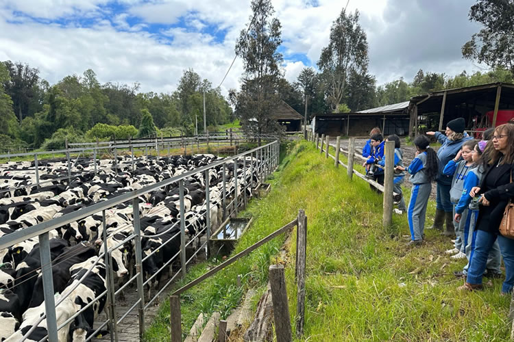 Aproleche Osorno abre las puertas del mundo lechero a estudiantes de la Provincia 