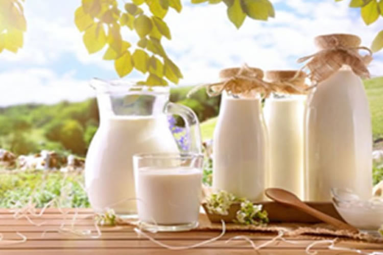 Ingesta de lácteos reduce riesgo de diabetes