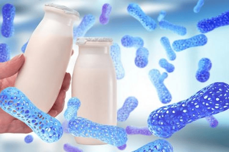 El lactobacillus del yogur y fermentados favorece la salud mental