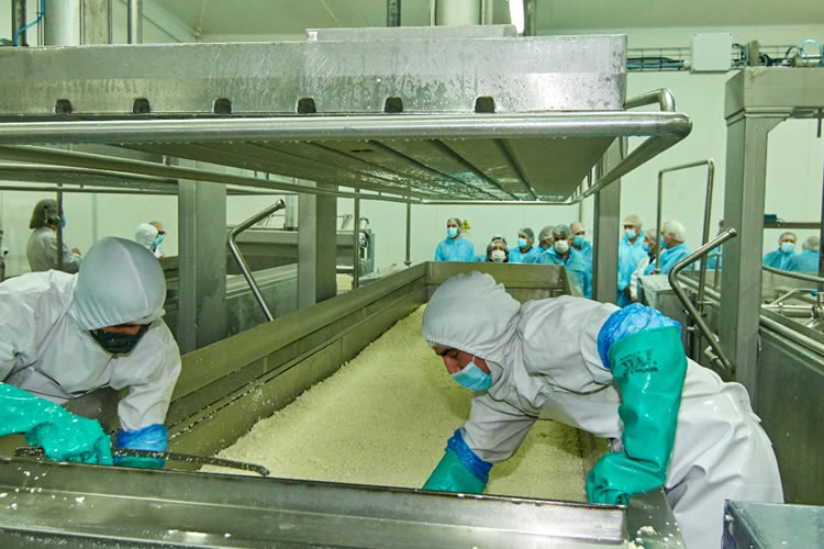 La importación de quesos sube 50% este año, con perjuicio a fabricantes nacionales y productores de leche