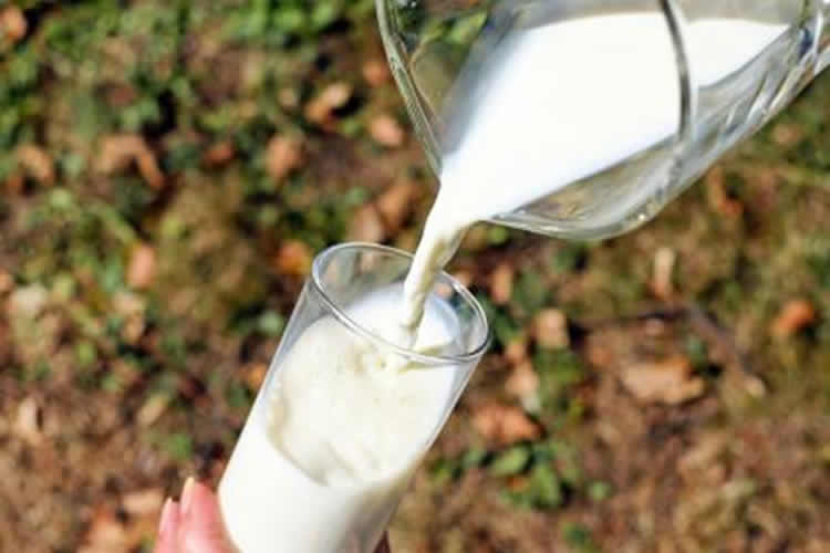 Los beneficios que debes conocer sobre tomar leche diariamente