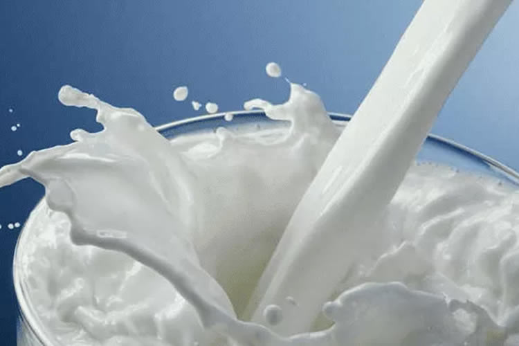 Producción mundial de leche: perspectivas y retos