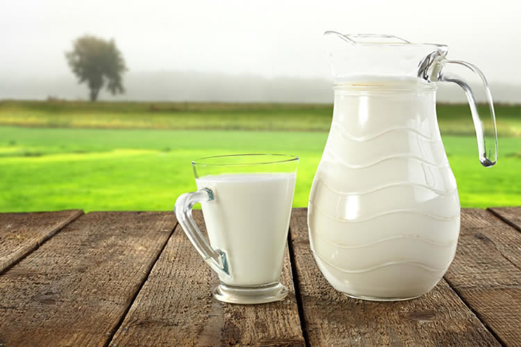 Gremios lácteos buscan potenciar las exportaciones con marca sectorial Chilemilk