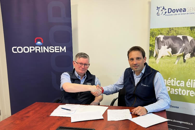 Cooprinsem y Dovea Genetics unen fuerzas para la exportación de genética bovina de excelencia