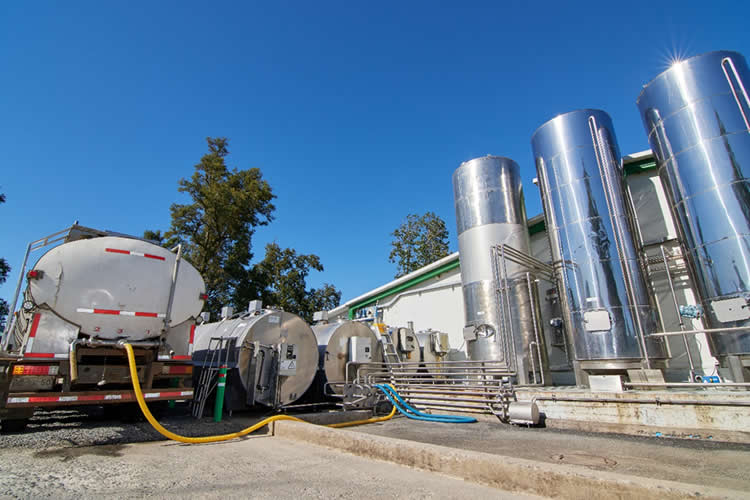 Industria láctea aumenta la demanda de leche cruda en enero de 2025 
