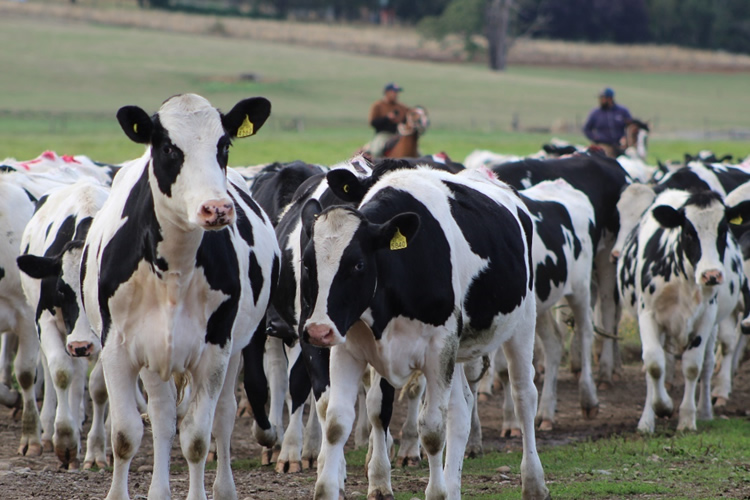 Capacitación continua: una necesidad estratégica para el mundo agrícola