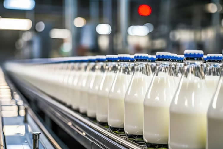 Argentina: La producción de leche creció 10,9% en el primer trimestre