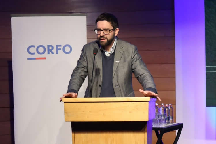 "Cooperativas: Los Lagos apuesta por visibilizar modelos asociativos"