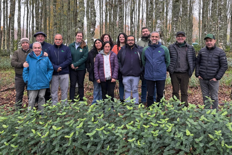 CONAF y Colún refuerzan alianza para conservar especies nativas en la región de Los Ríos