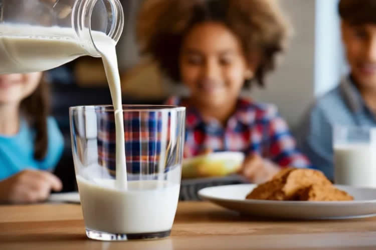 Un nuevo estudio muestra que el consumo de leche mejora la biodiversidad intestinal y el queso reduce ciertos microbios