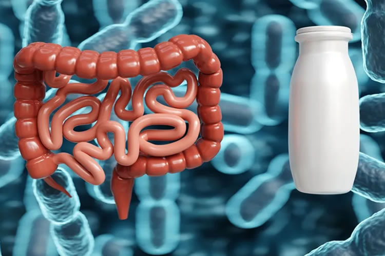 La ingesta de yogur podría reducir el riesgo de cáncer colorrectal asociado a Bifidobacterium