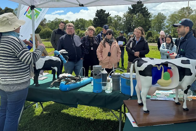 Delegación de la Cumbre Mundial de la Leche conoce avances científicos y tecnológicos en su visita a INIA Remehue