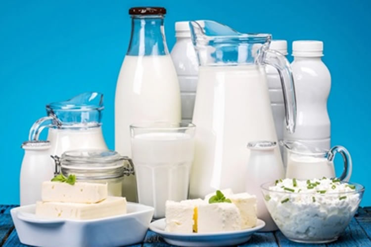 El renacer del lácteo funcional: salud, proteína y sostenibilidad impulsan la nueva era del sector