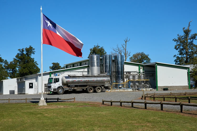 Productores lecheros del sur impulsan cooperativa basada en bienestar animal y trazabilidad 