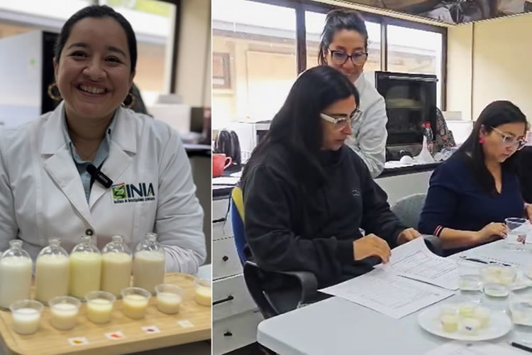 Investigadores de INIA analizan leches con colorantes naturales en innovadora evaluación sensorial