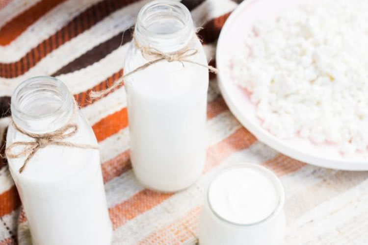 Probióticos: qué son, beneficios y cómo incorporarlos