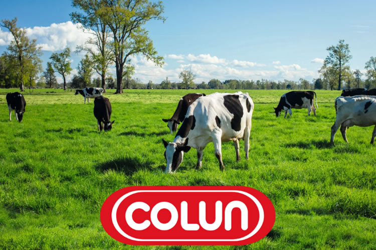 Colun fue premiada en EESur por su impacto positivo en sostenibilidad