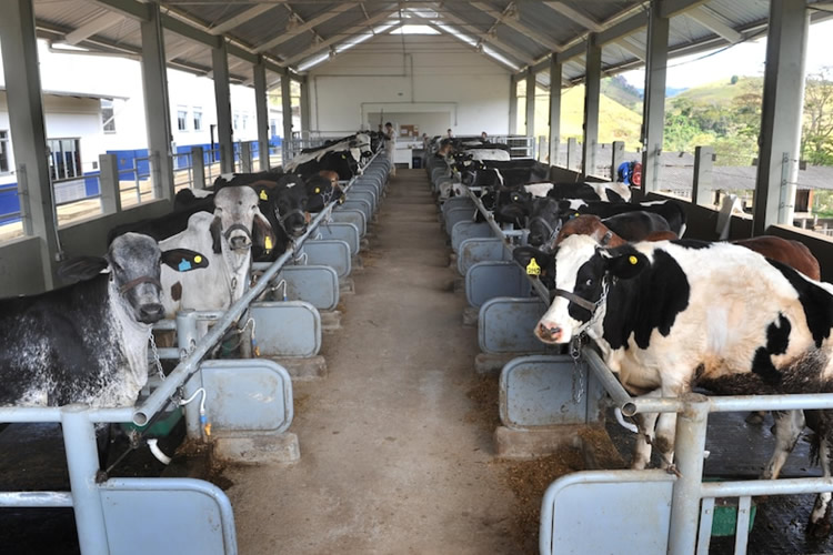 Brasil reactiva una investigación antidumping y pone bajo la lupa la leche en polvo del Mercosur