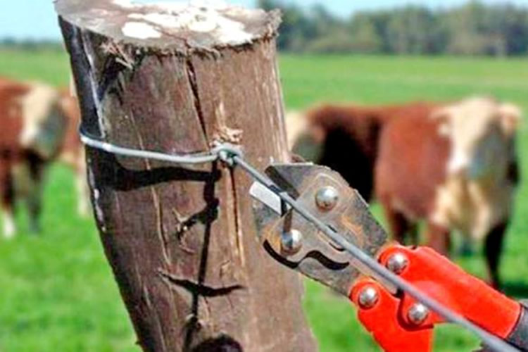 Abigeato en Los Ríos: Saval advierte existencia de subregistro y delito organizado